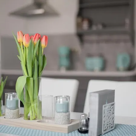 Daire Schlossstrasse Ballenstedt